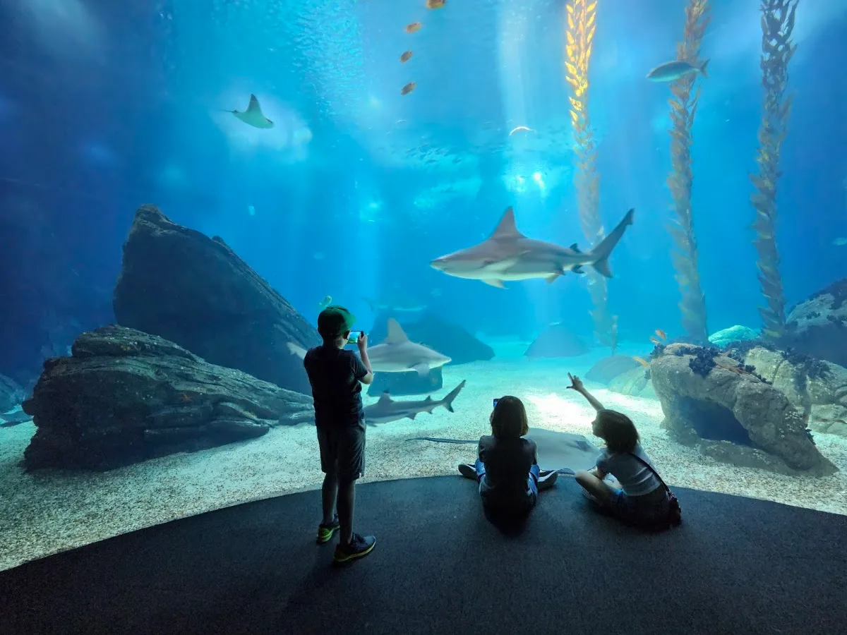 Oceanário de Lisboa