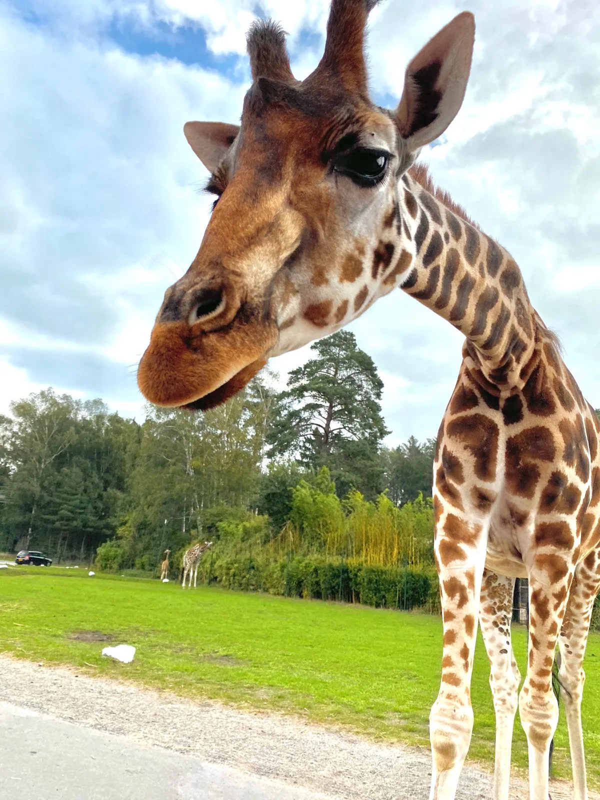 Serengeti Park Hodenhagen