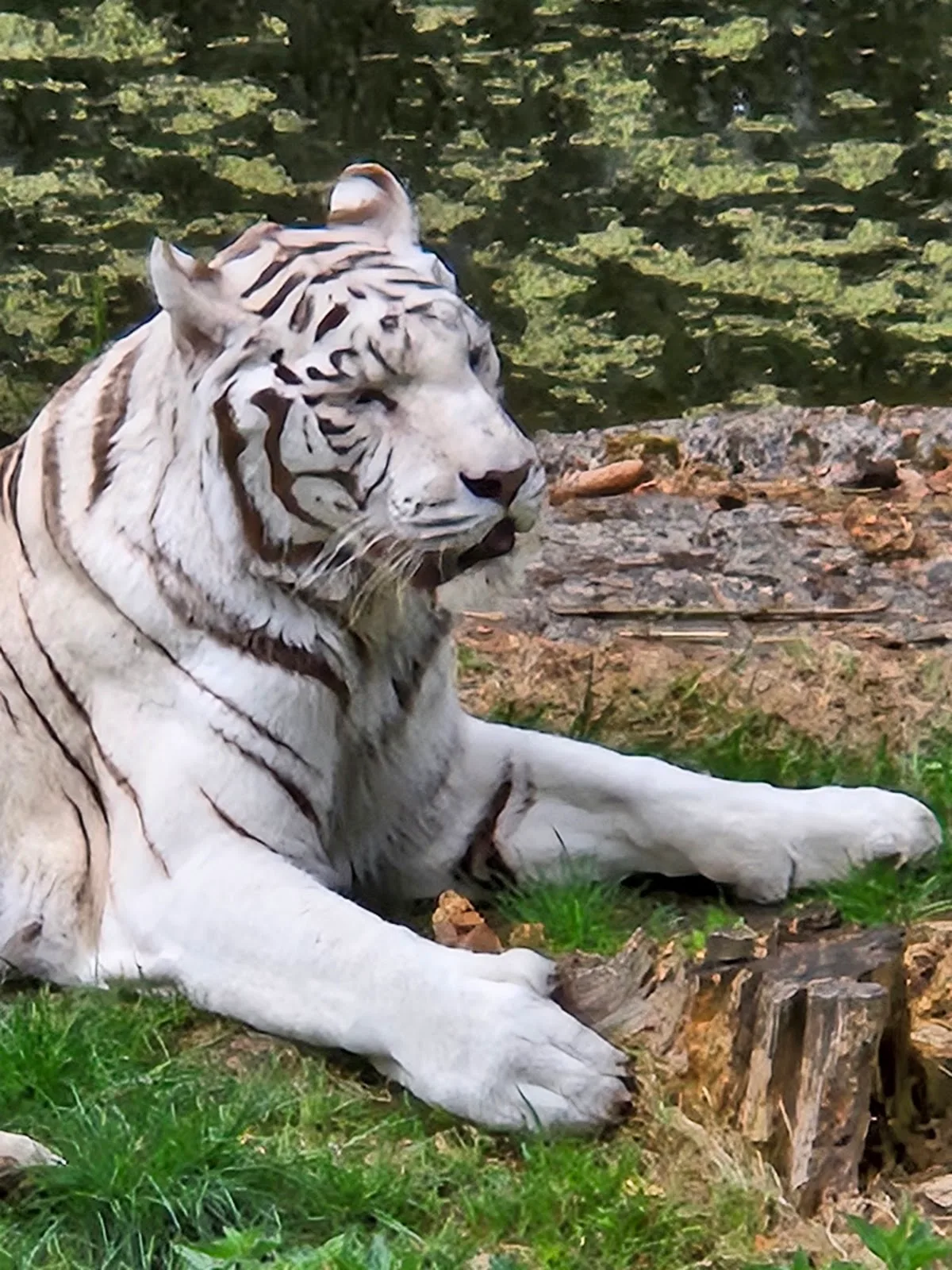 Serengeti Park Hodenhagen