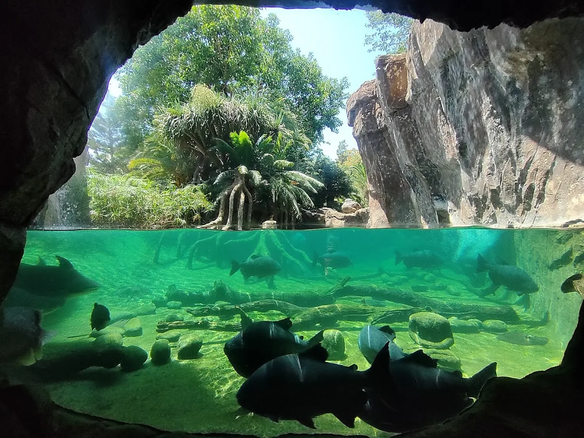 Bioparc Fuengirola
