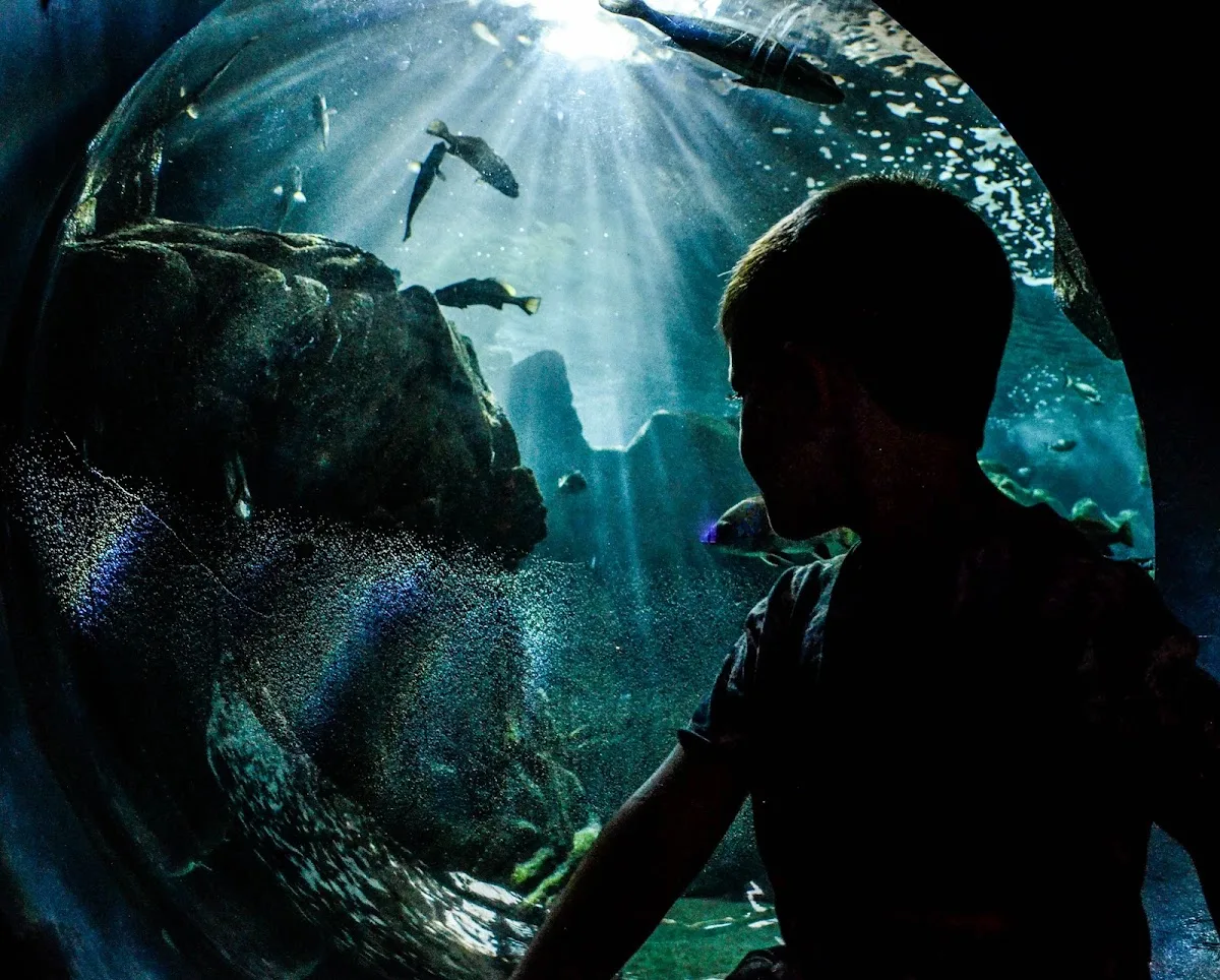 CRETAquarium