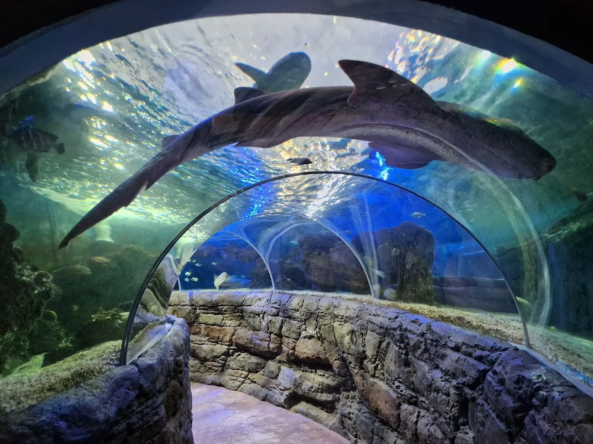 Sea Life Benalmádena