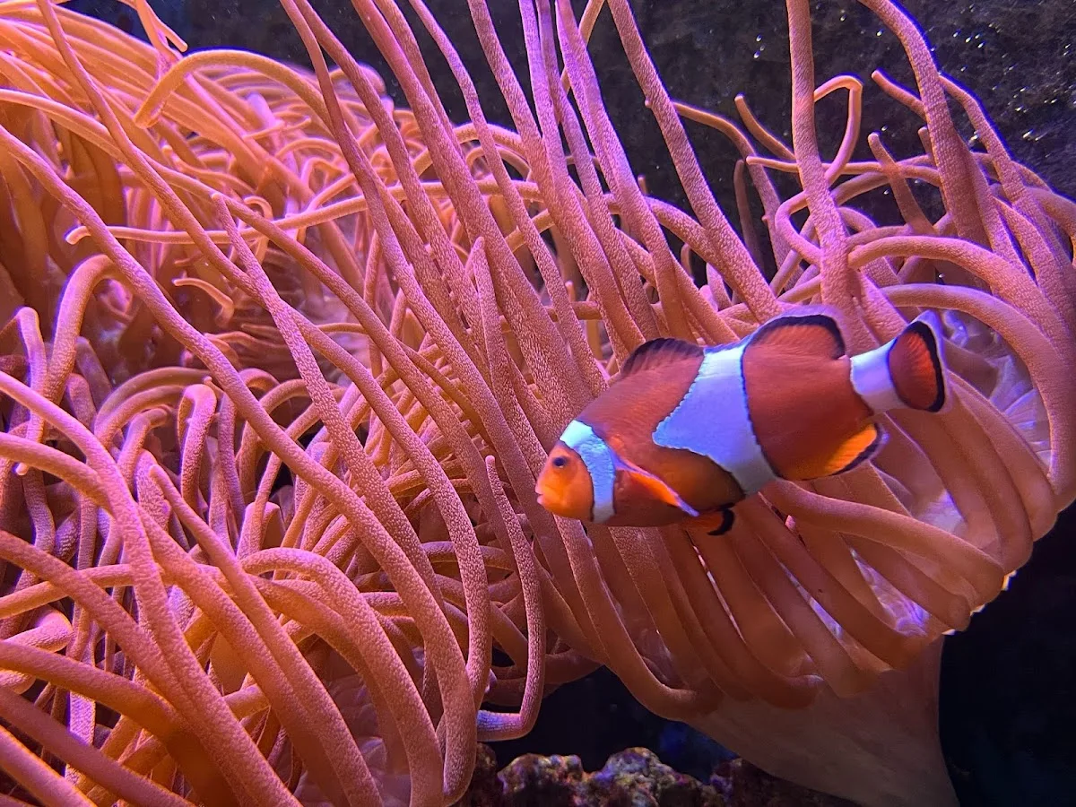 Blue Planet Aquarium