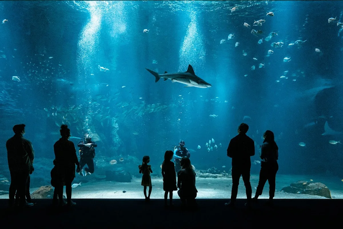 Nausicaa Centre National De La Mer