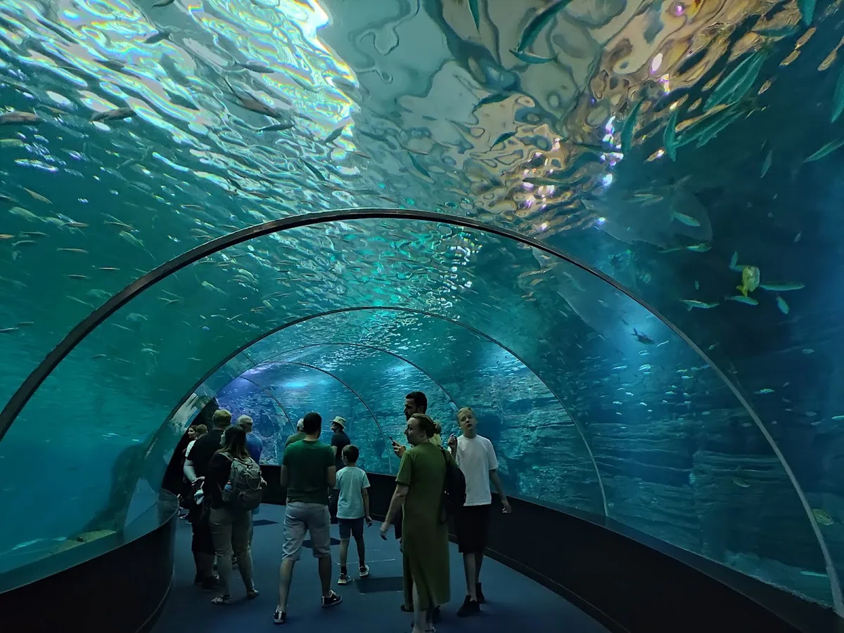 Nausicaa Centre National De La Mer