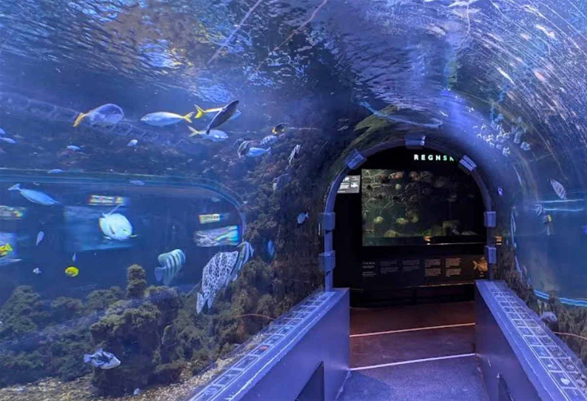 Akvariet i Bergen - L'aquarium national