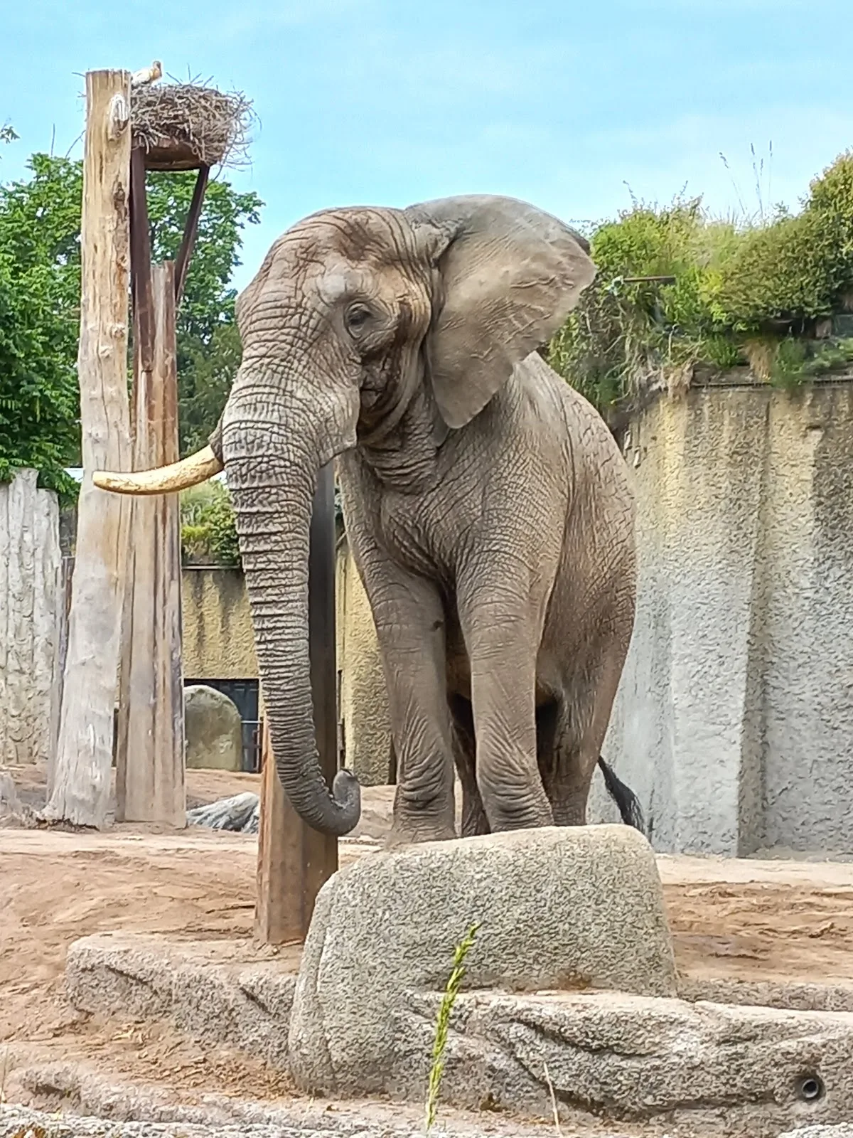Zoo de Bâle