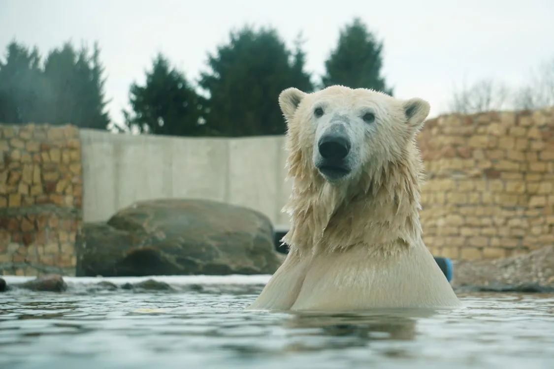 Tallinn Zoo