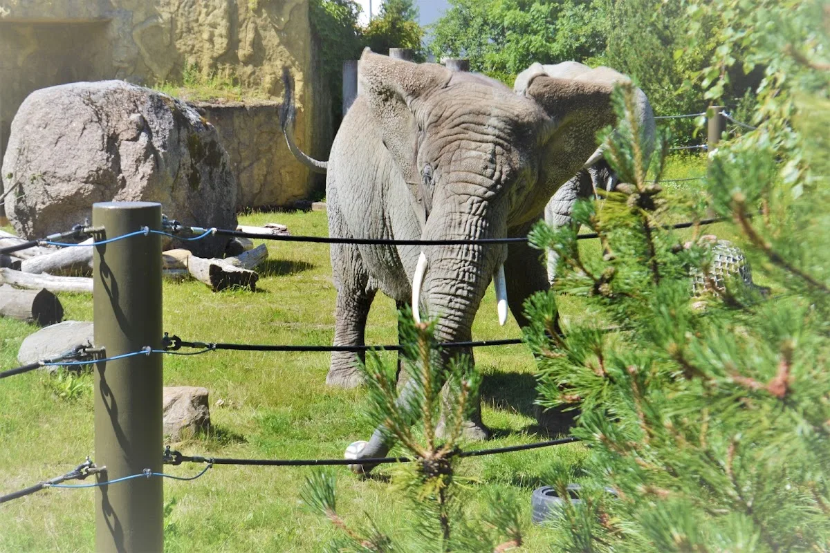 Zoo de Tallinn
