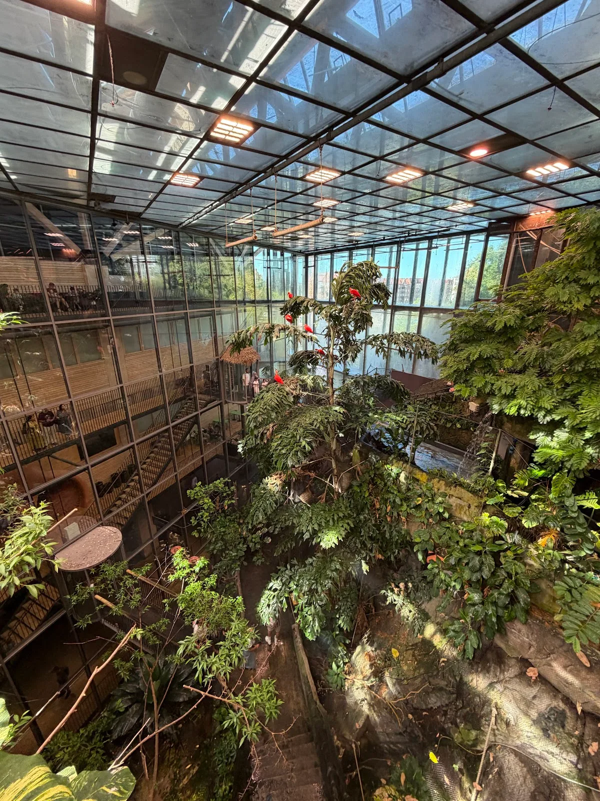 Universeum