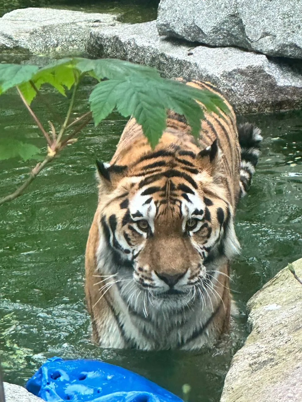 Parc Zoologique et Botanique de Mulhouse