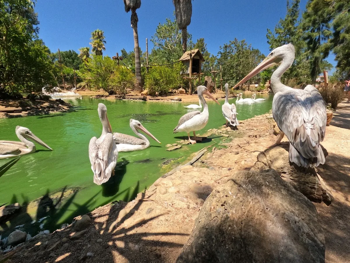 Zoo de Lagos