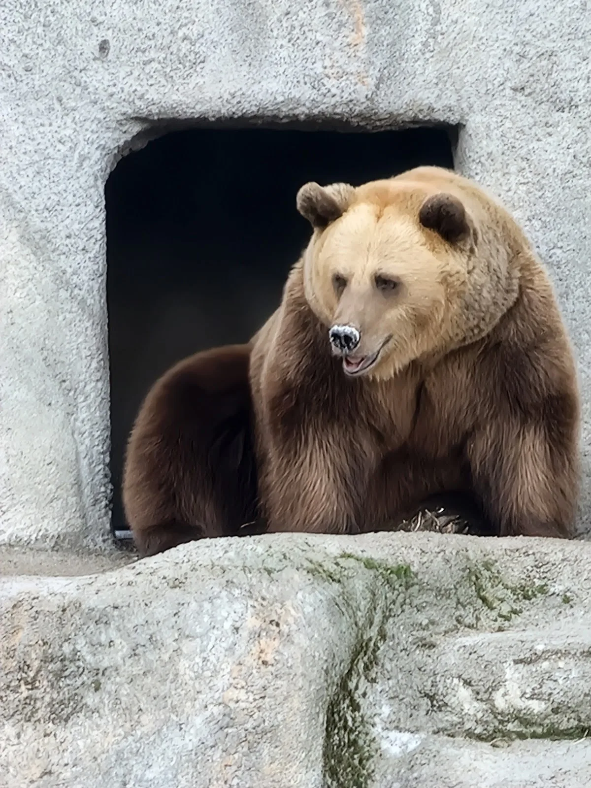 Korkeasaari Zoo