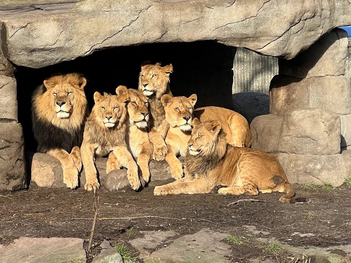 Copenhagen Zoo