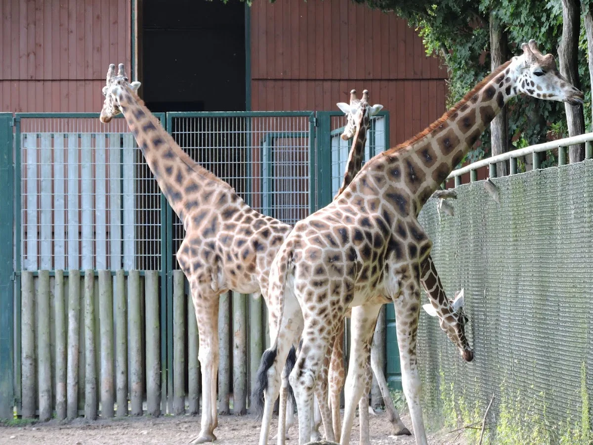ZOO GDAŃSK