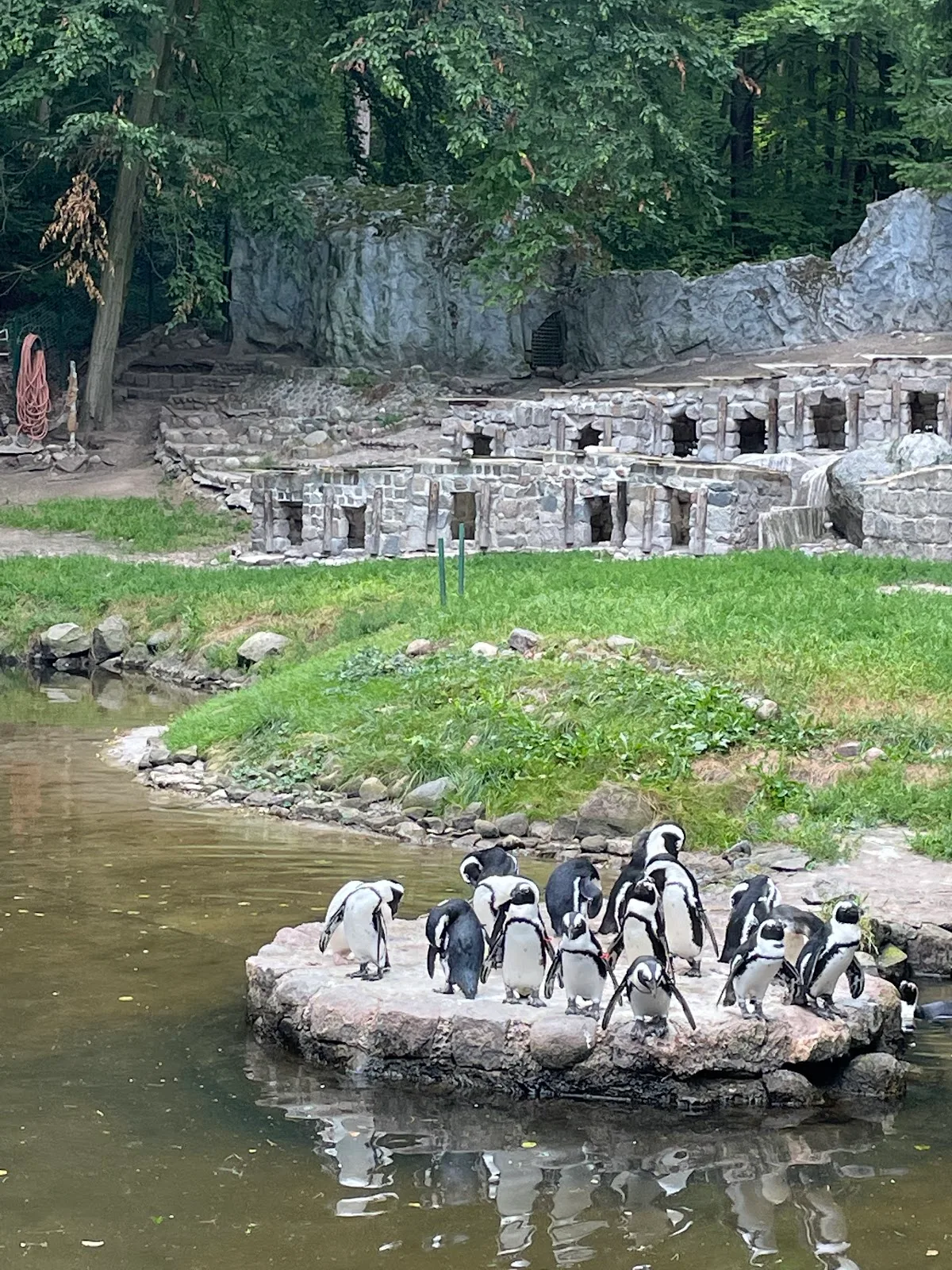 ZOO GDAŃSK