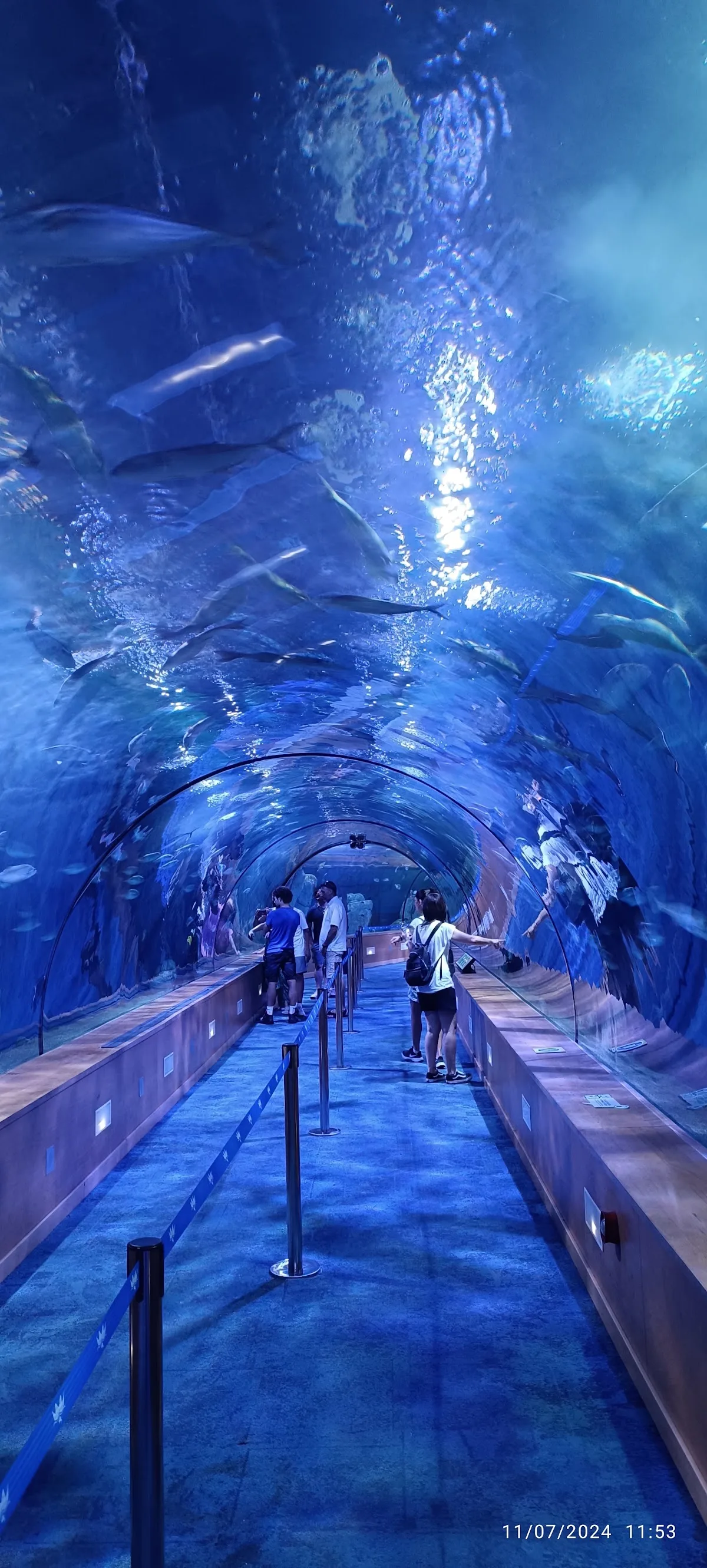 Oceanogràfic València