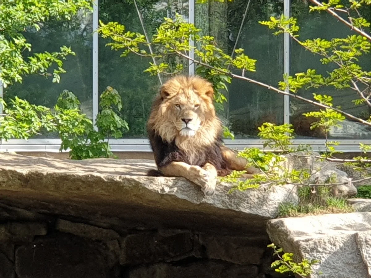 Hellabrunn Zoo