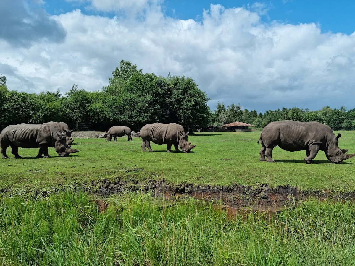 Danhostel Givskud Zoo