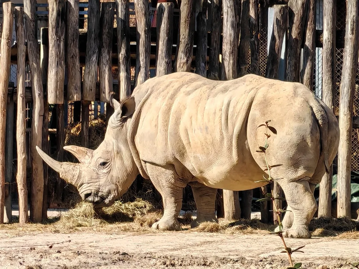 Zoo and Chateau Zlin-Lesna