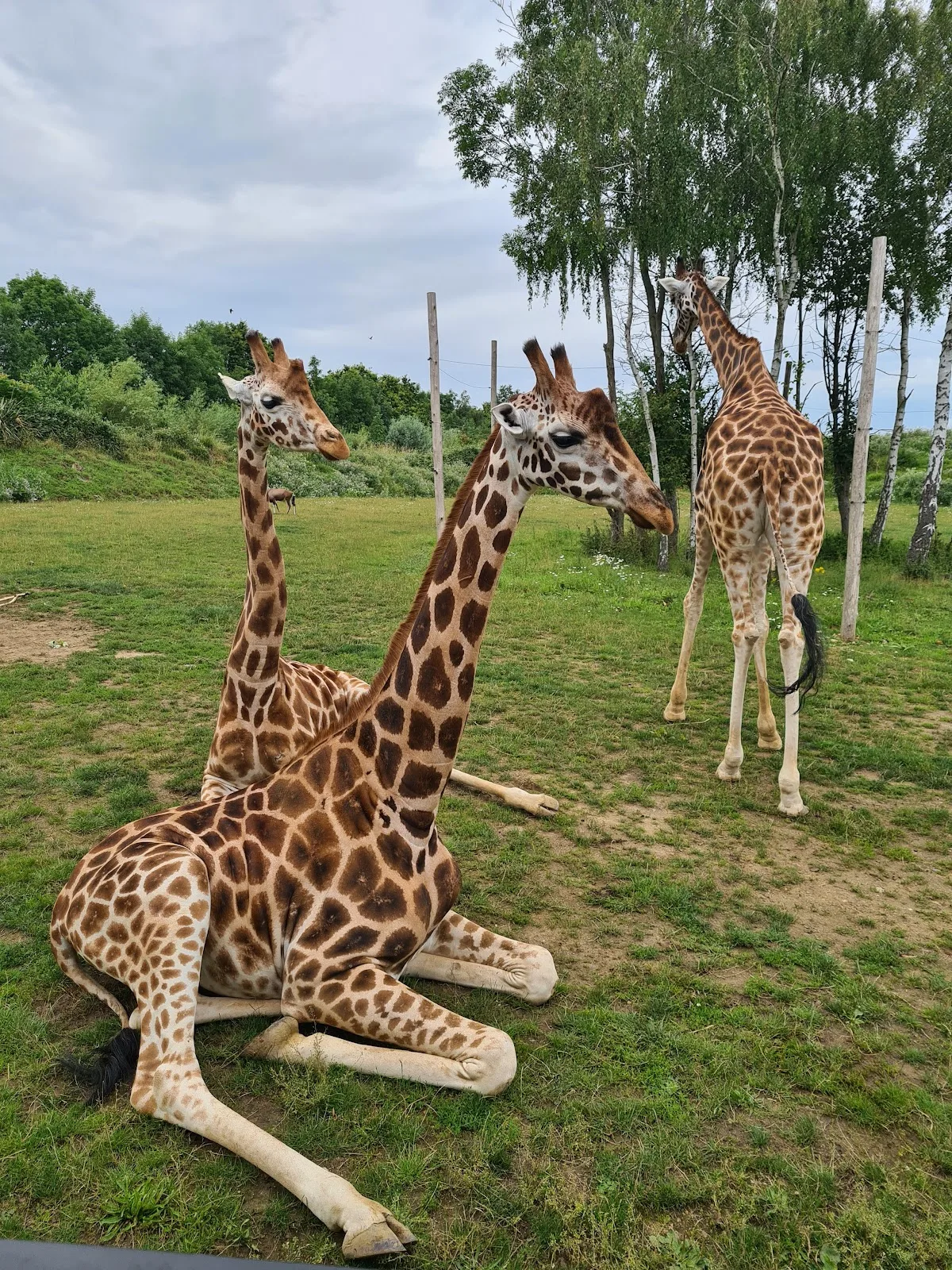 Chessington World of Adventures Resort