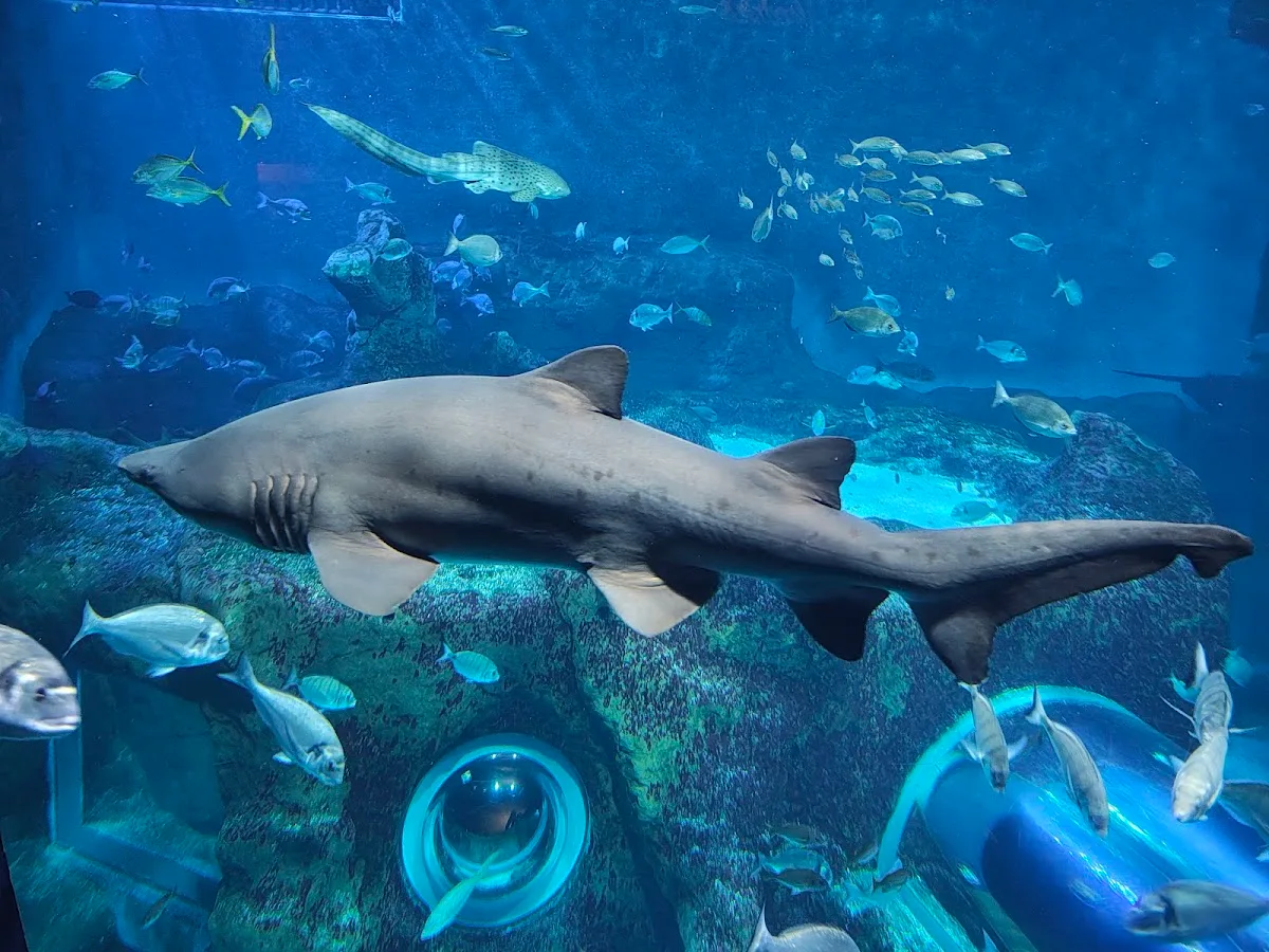 Sevilla Aquarium
