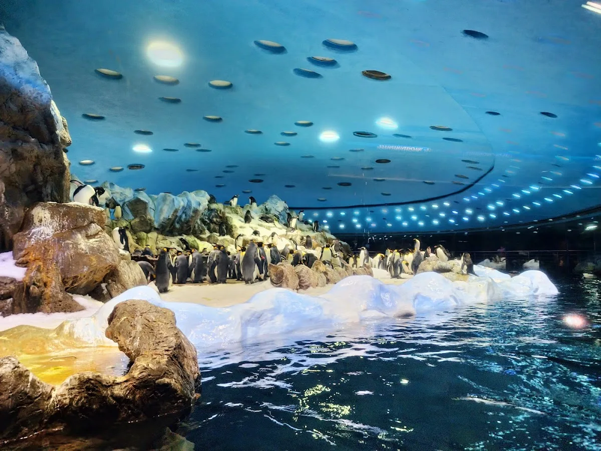 Loro Parque