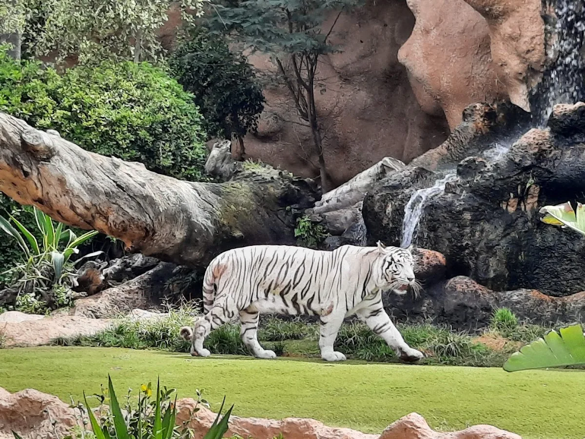Loro Parque