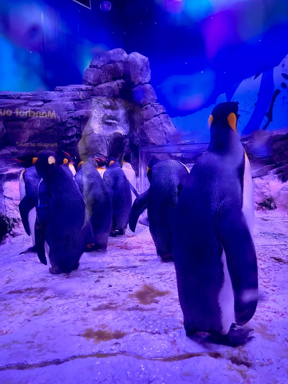SEA LIFE Val d'Europe