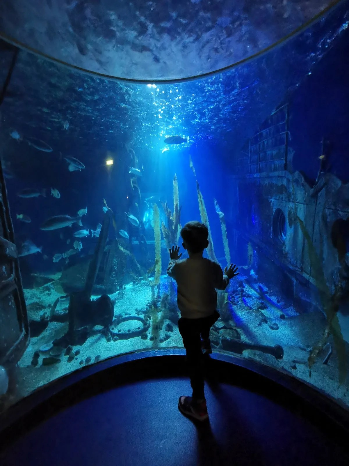 SEA LIFE Val d'Europe