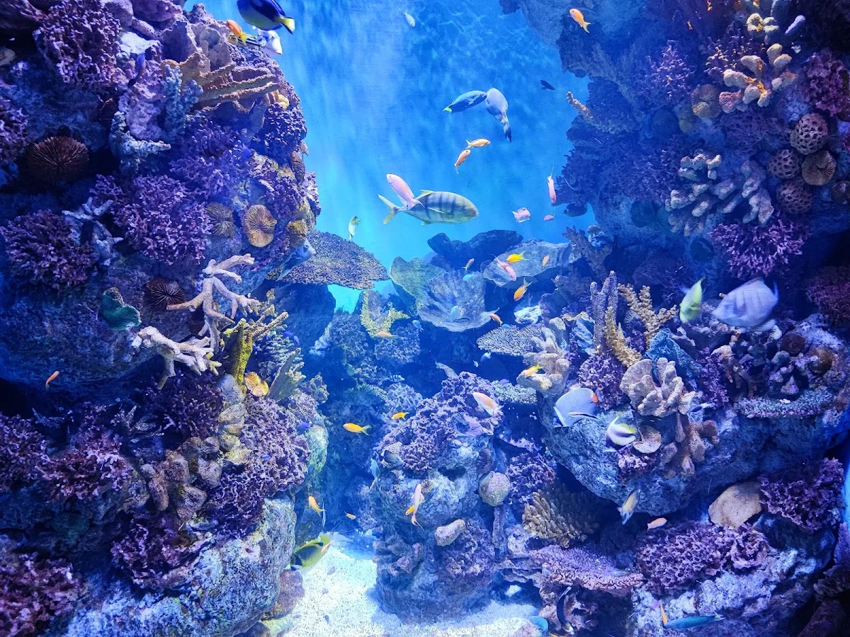 L’Aquàrium de Barcelona