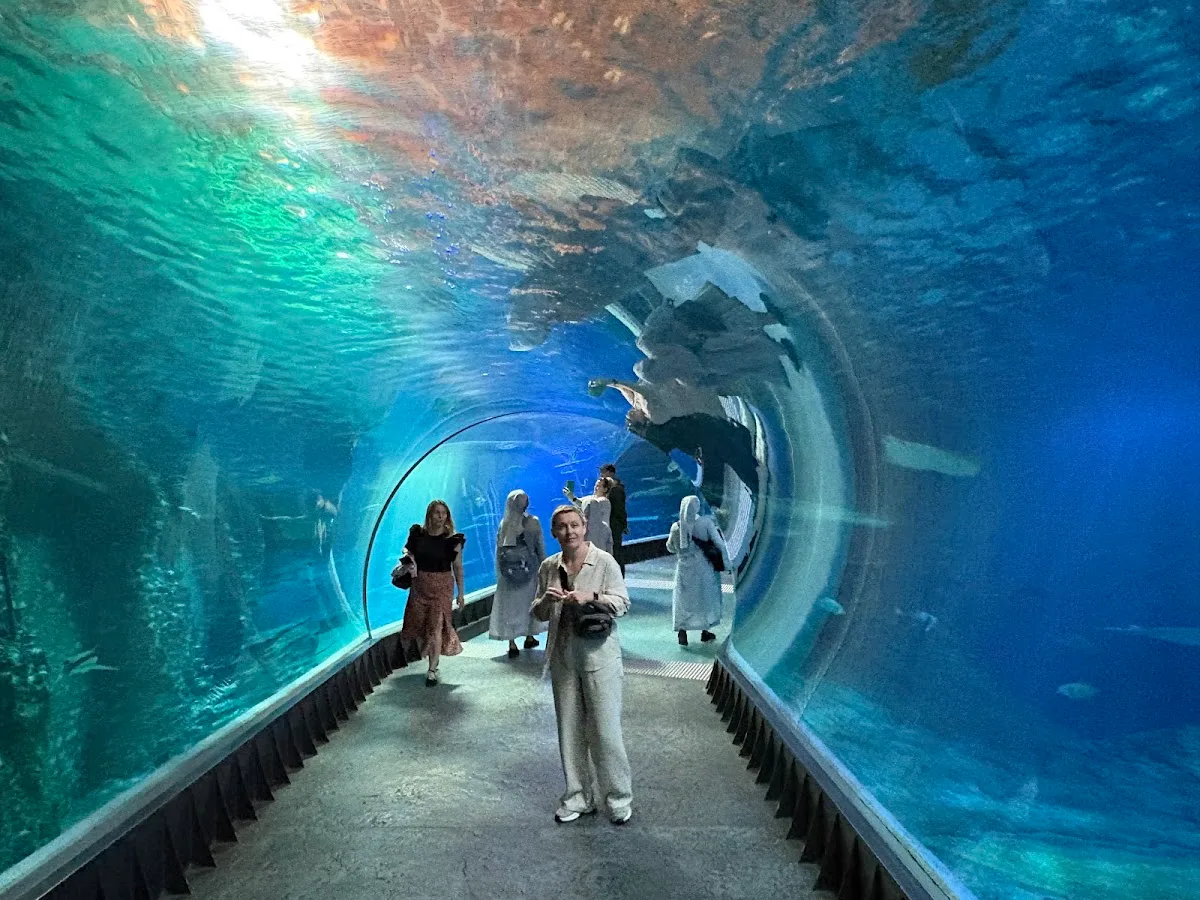 Zoo de Wrocław