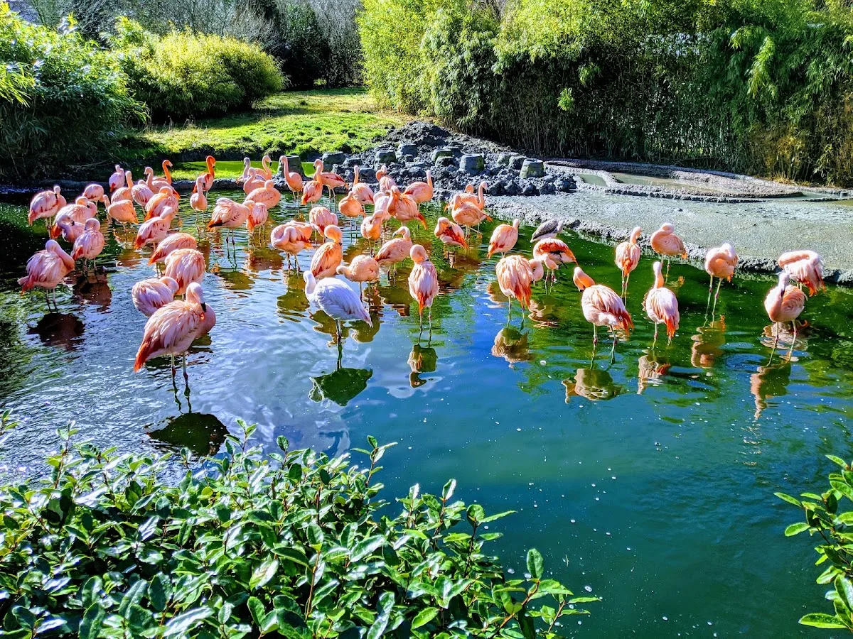 Zoo de Zurich