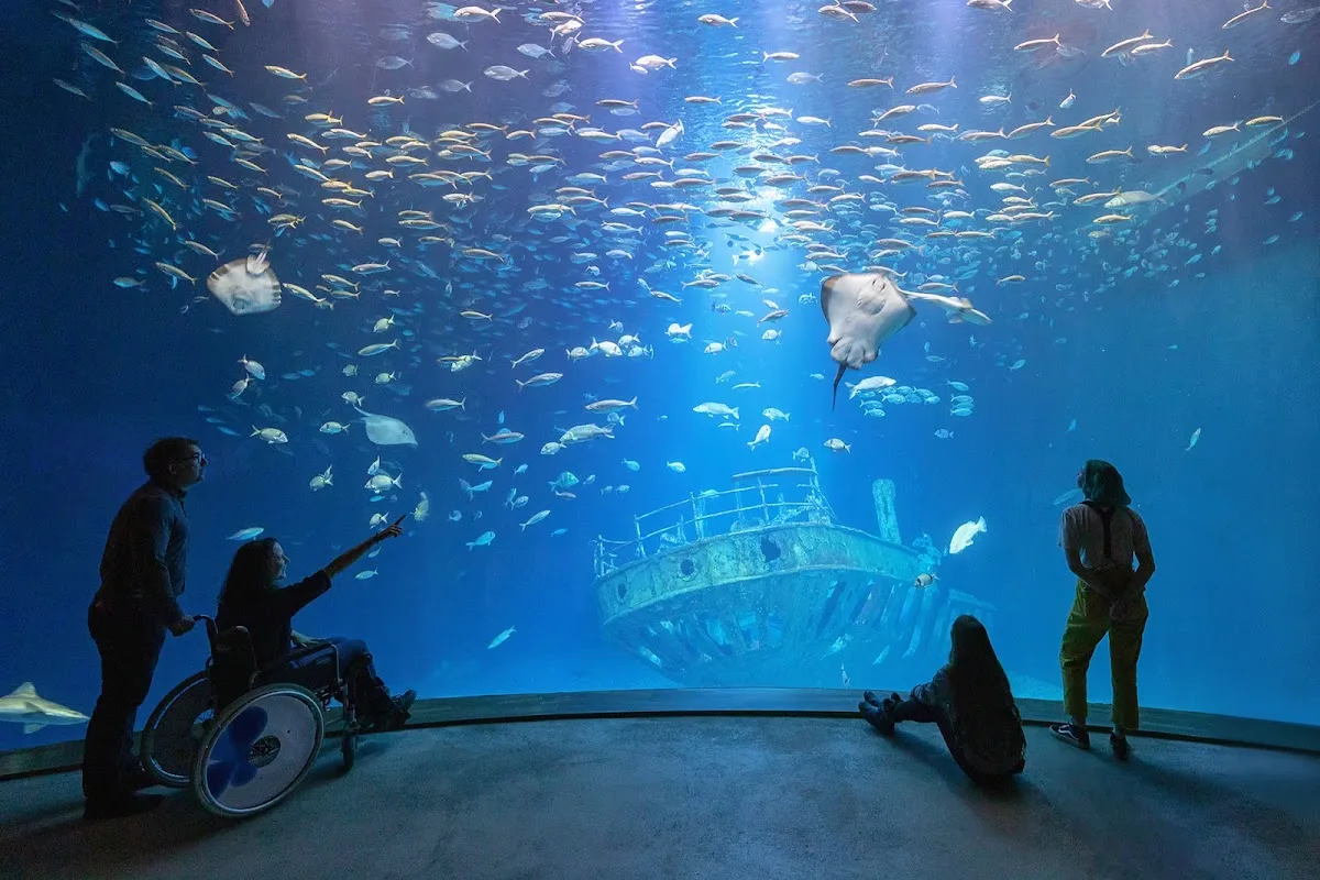 OZEANEUM Stralsund