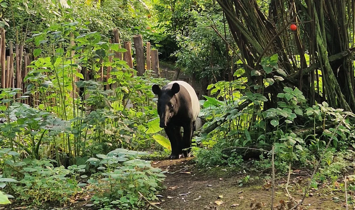 Zoo de Leipzig