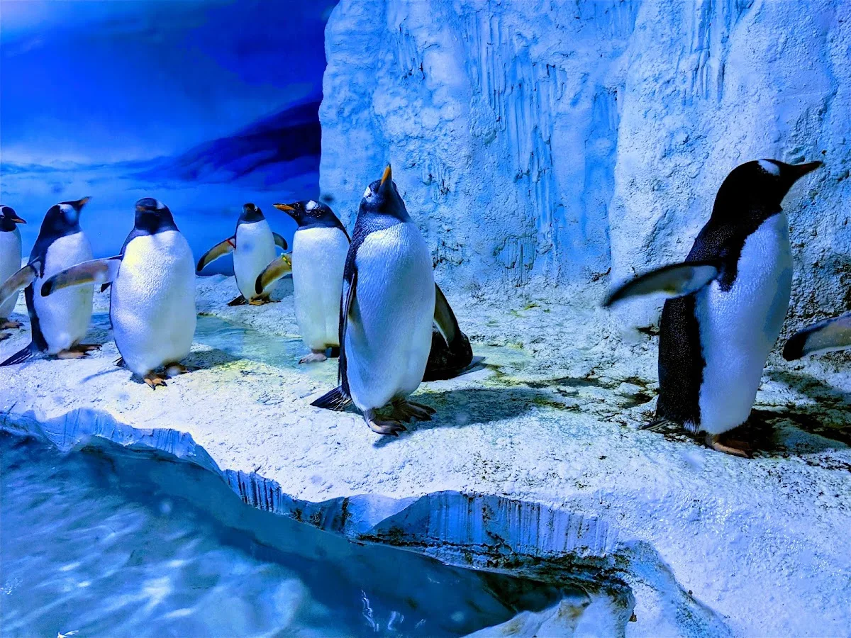 SEA LIFE London Aquarium