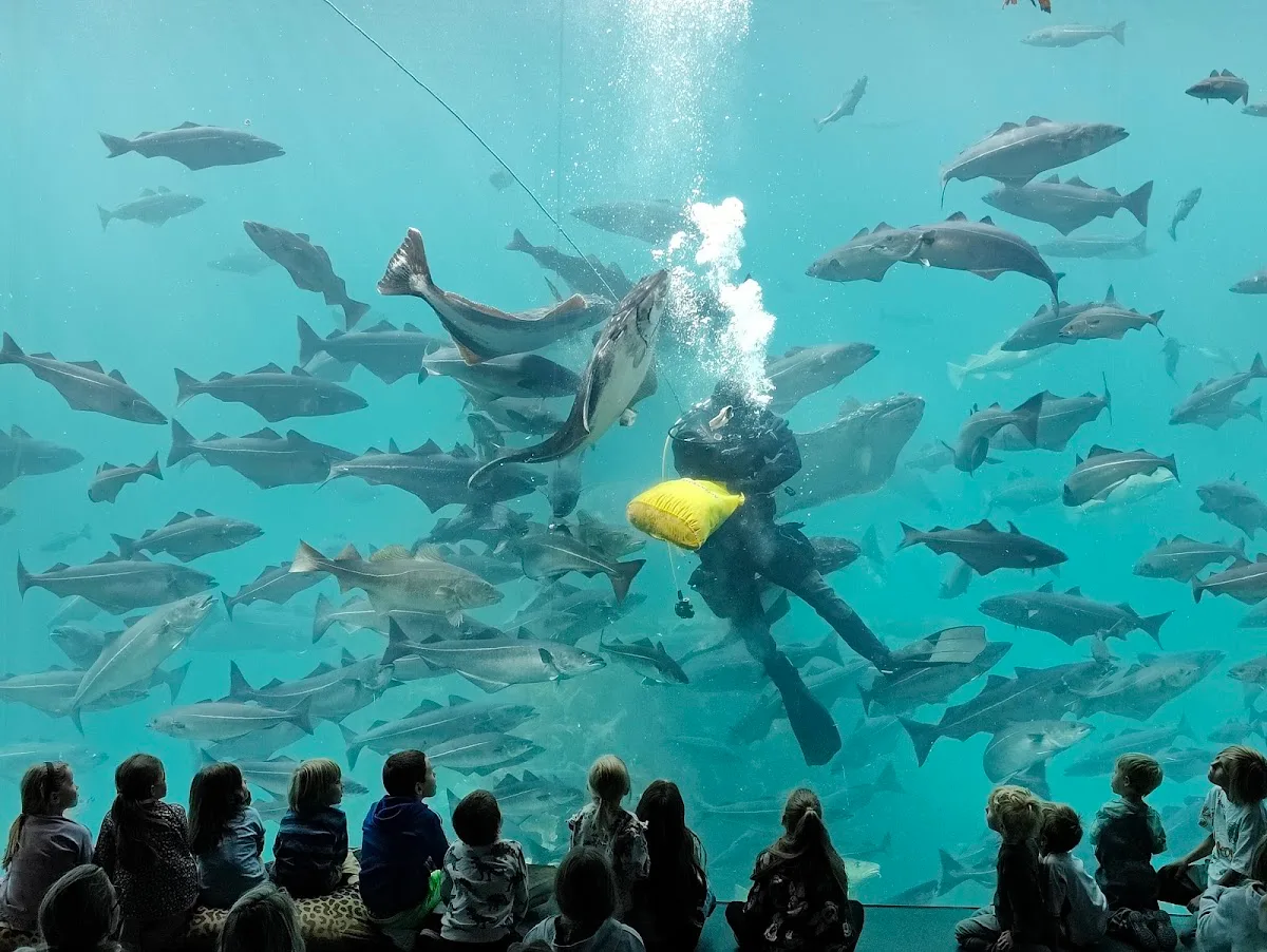 Atlantic Sea-Park