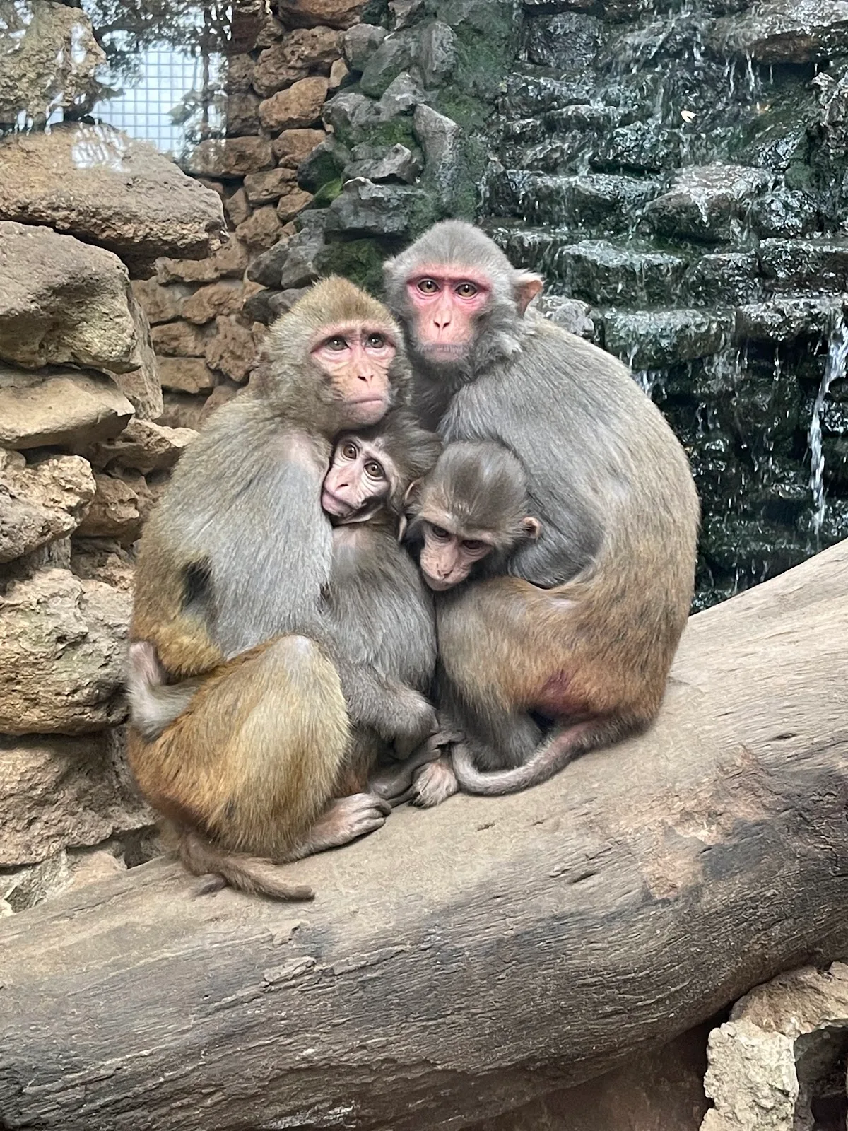 Zoo de Castellar