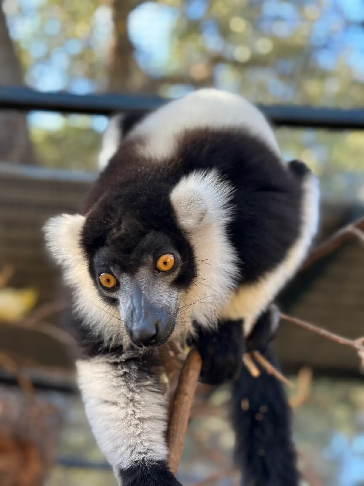 Zoo de Castellar