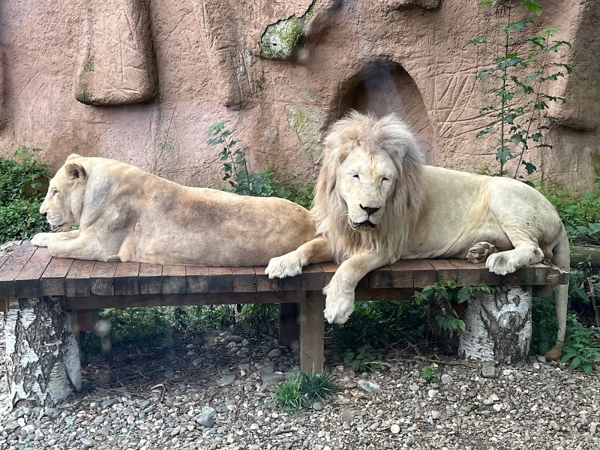 Zoo Brașov