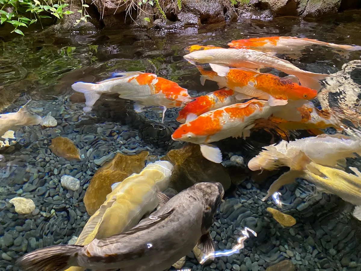 Aquarium de Paris