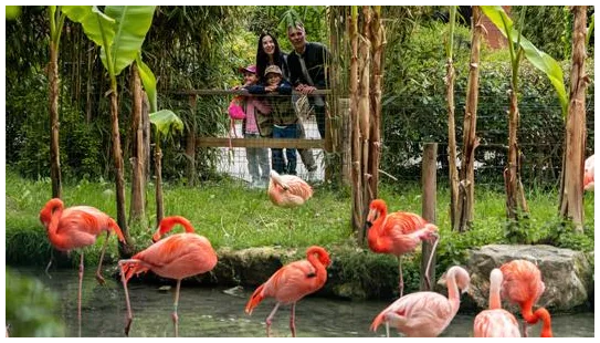 Parco Natura Viva