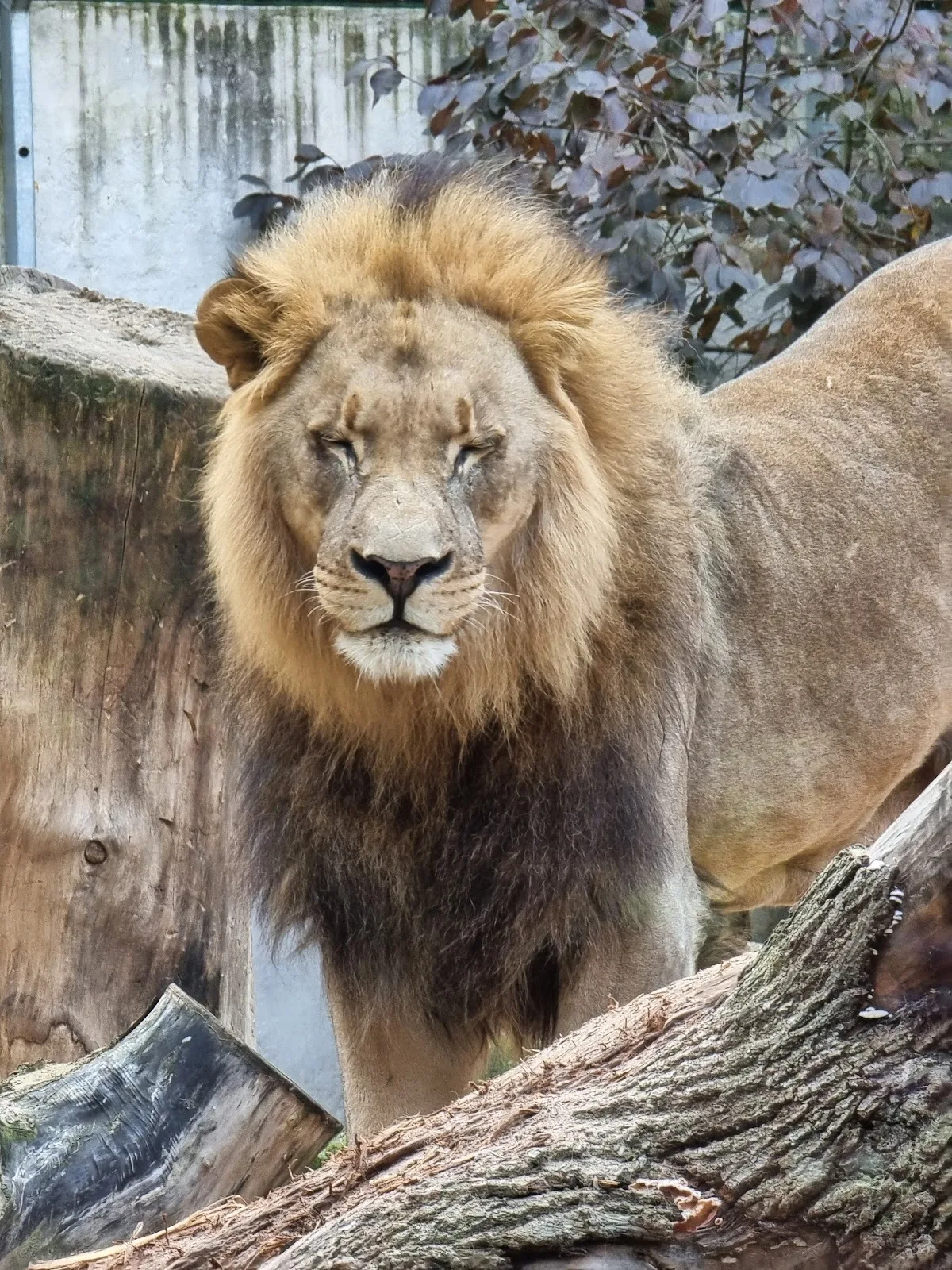 Jardin zoologique national de Riga