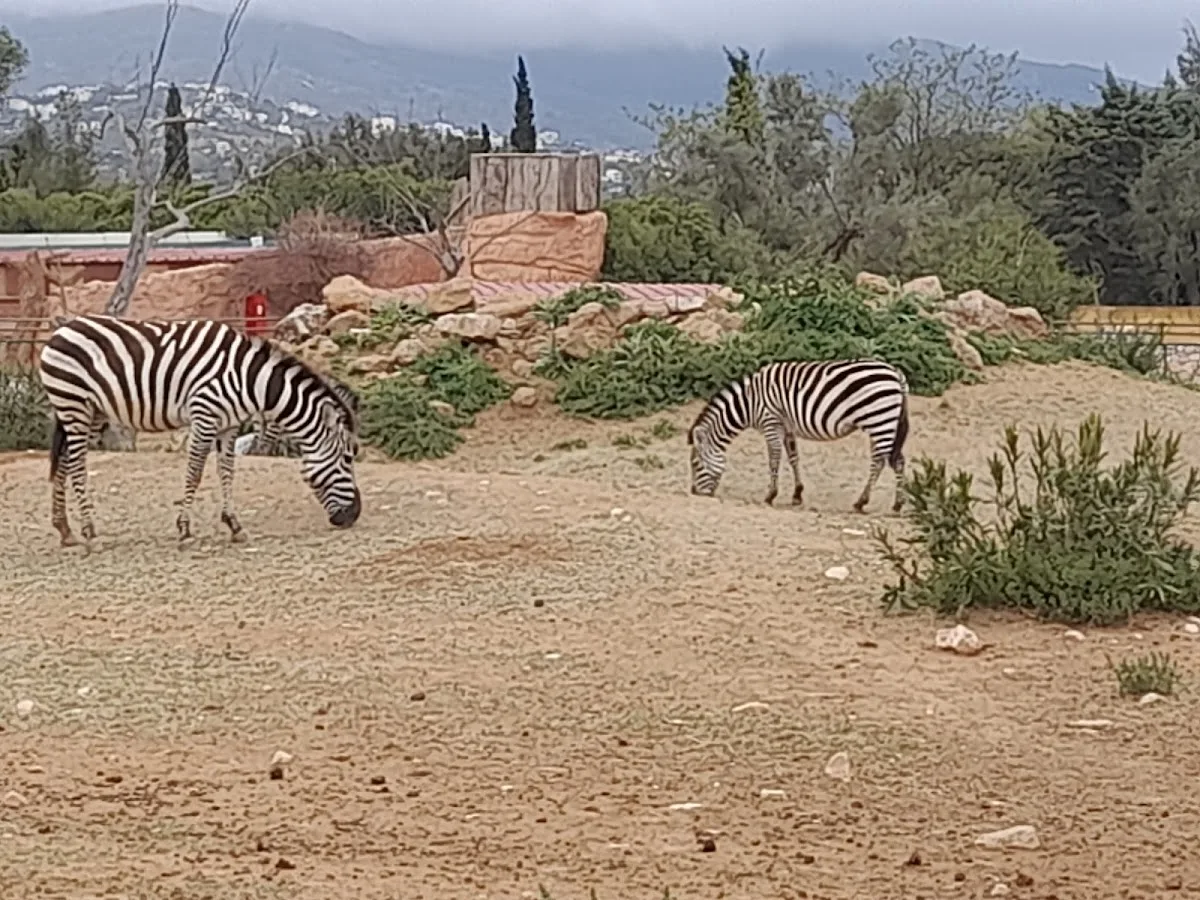 Attica Zoological Park