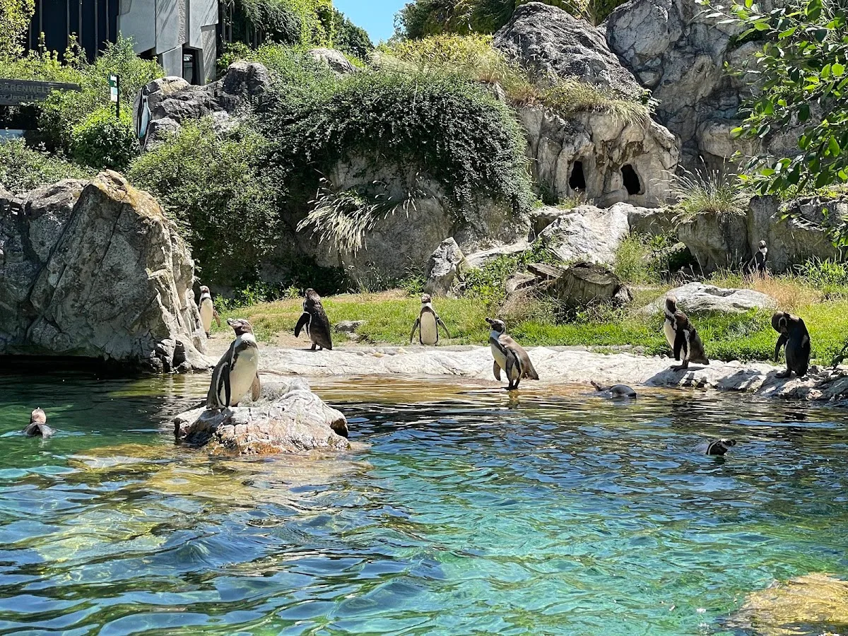 Schönbrunn Zoo