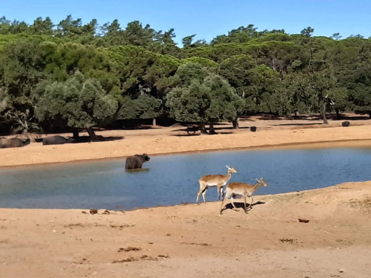 Badoca Safari Park
