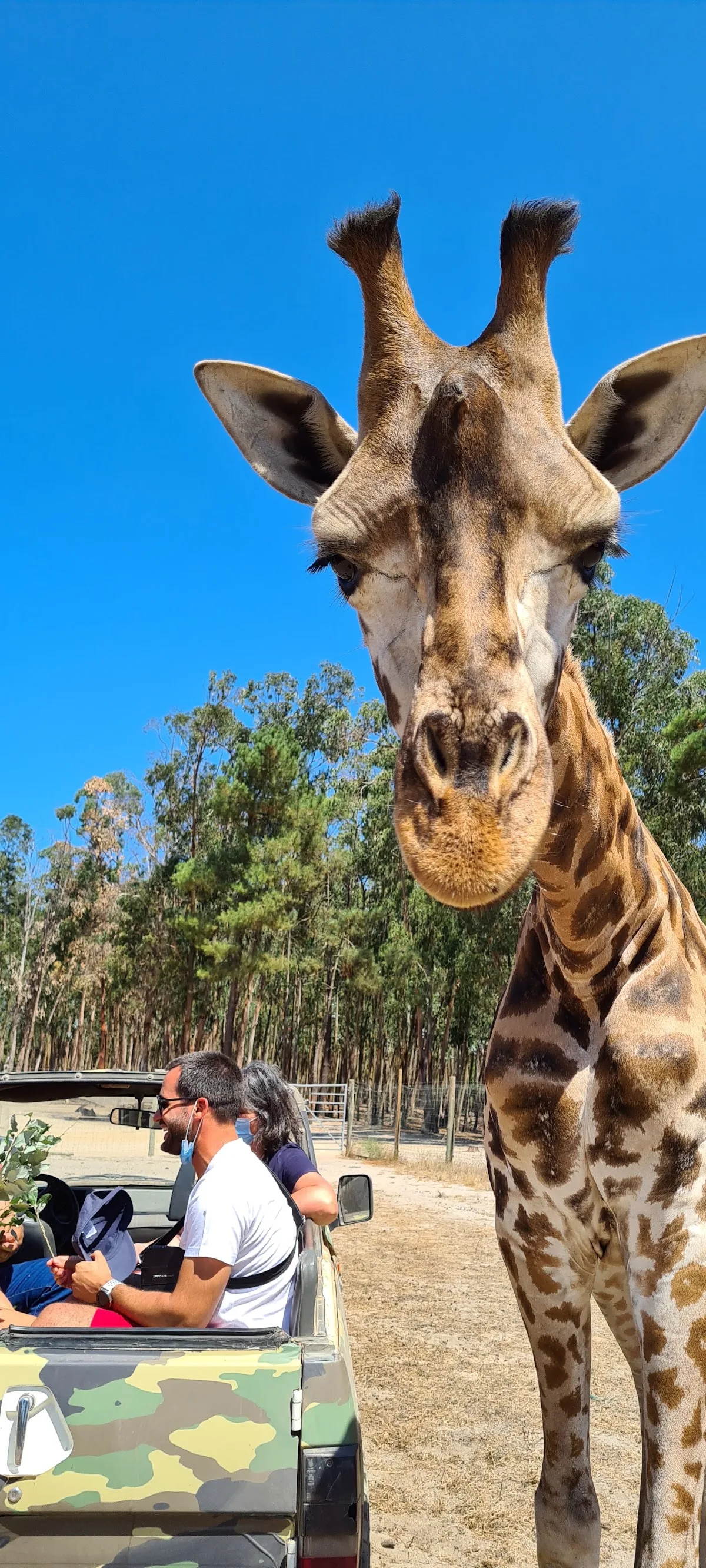 Badoca Safari Park