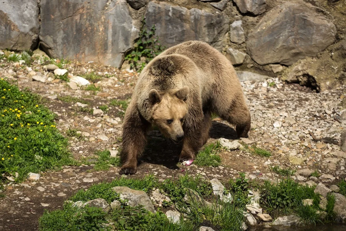 Ljubljana Zoo