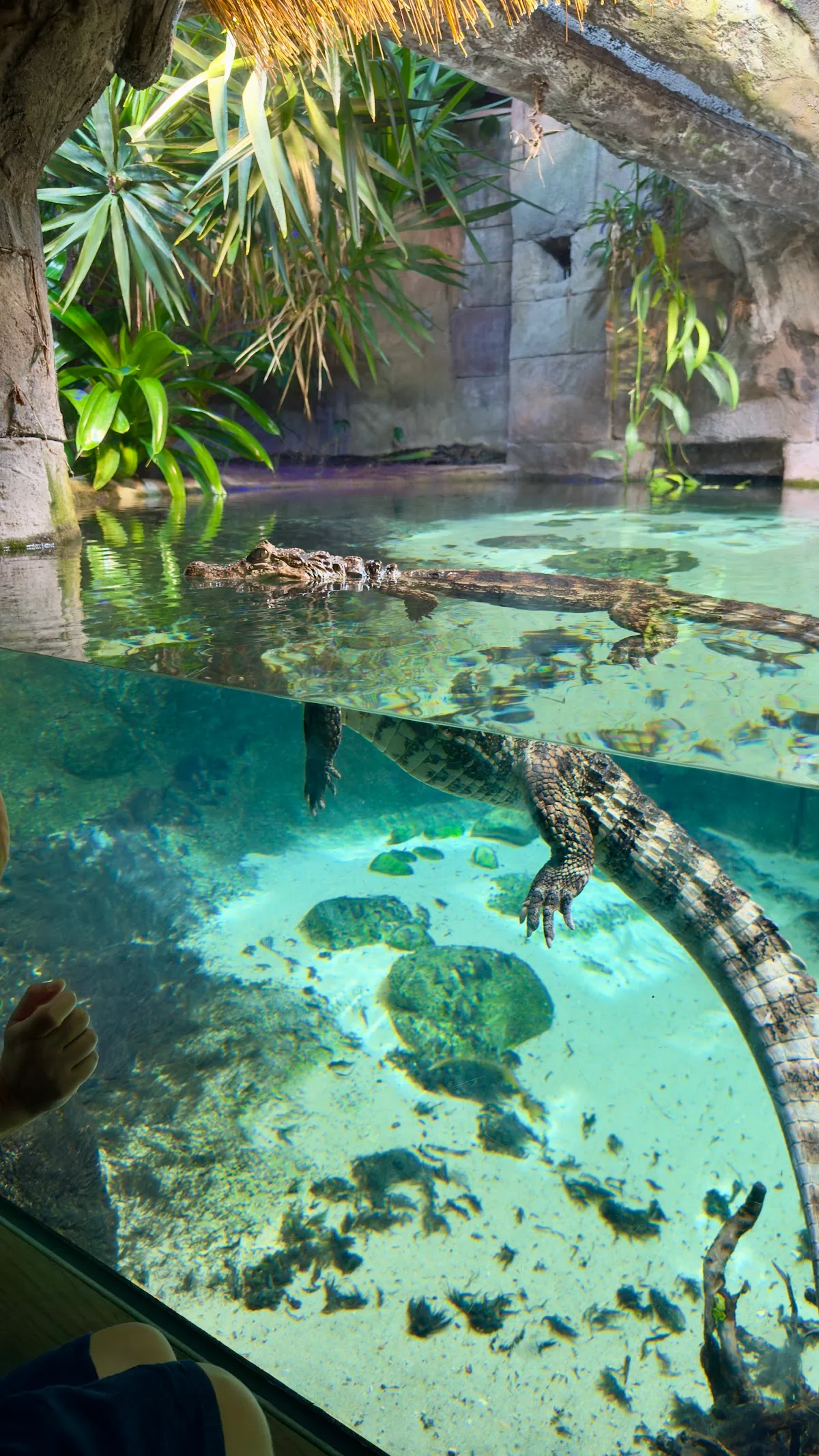 Odense Zoo