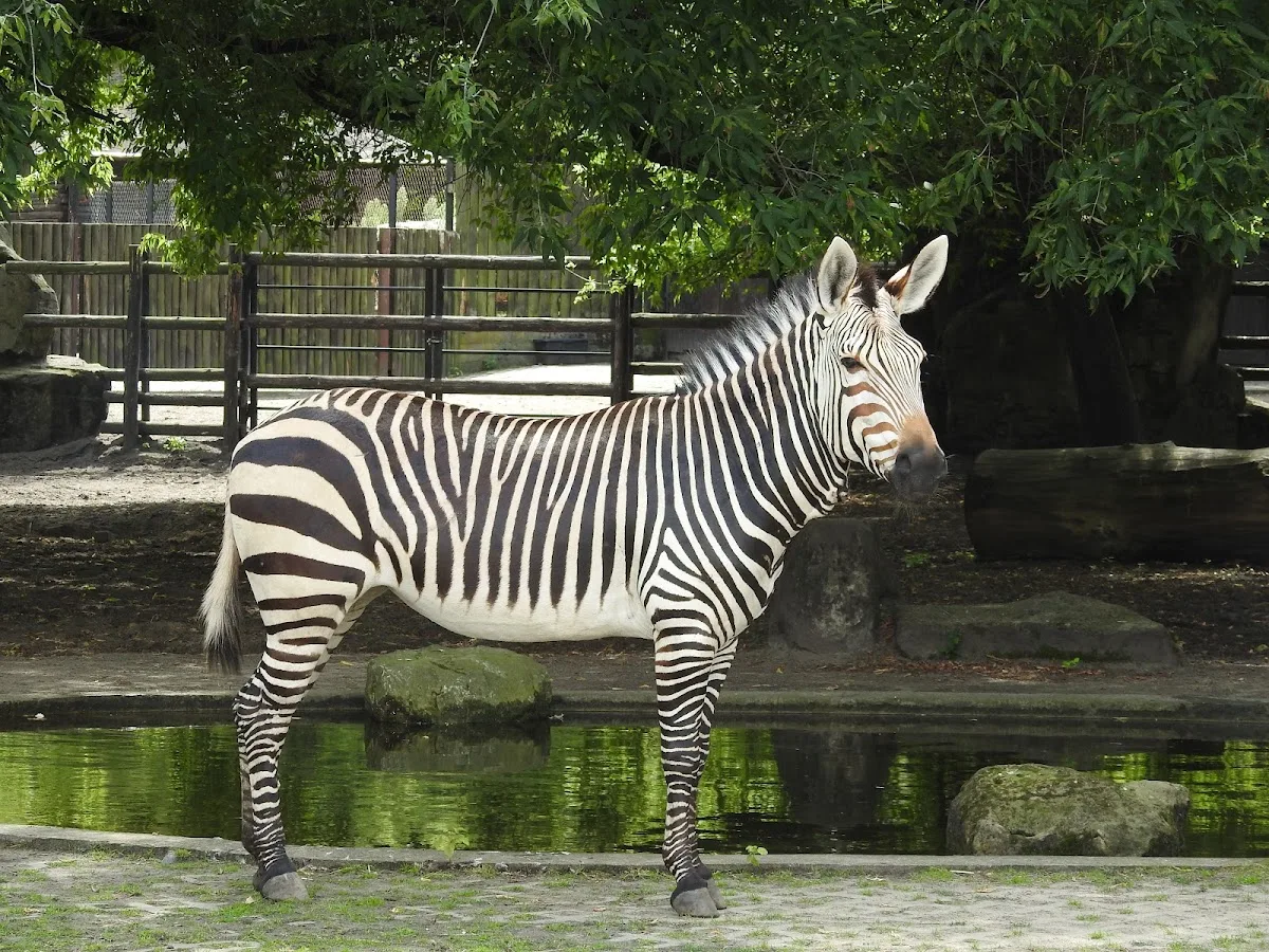 City Zoological Garden in Warsaw